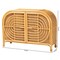 Bali & Pari Ovalet Modern Bohemian Natural Brown Rattan 2-Door Sideboard 238-13254-ZORO - alternate 5